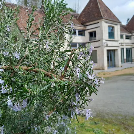 Bande Dessinee Dans Le Perche Διαμέρισμα *