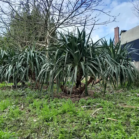 Διαμέρισμα Bande Dessinee Dans Le Perche Rémalard