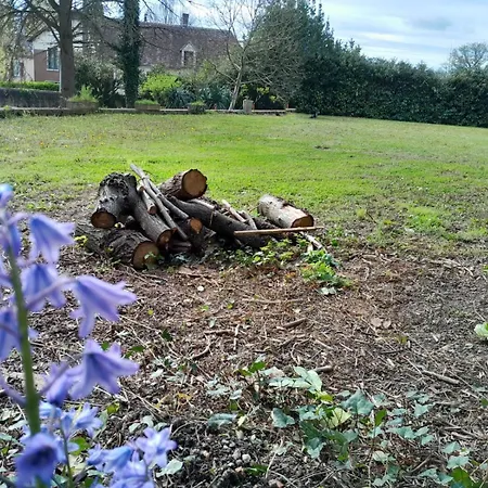 Bande Dessinee Dans Le Perche Lejlighed