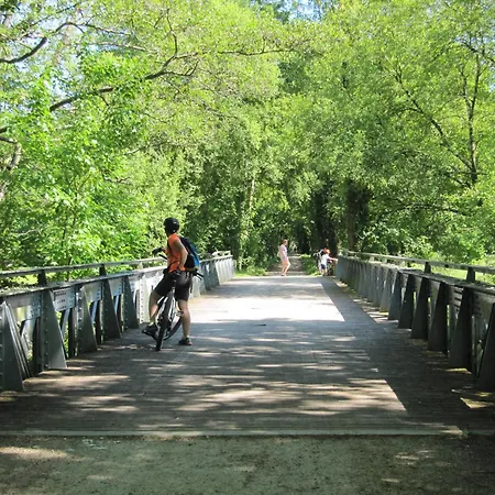 Des Arts - Bande Dessinee Dans Le Perche