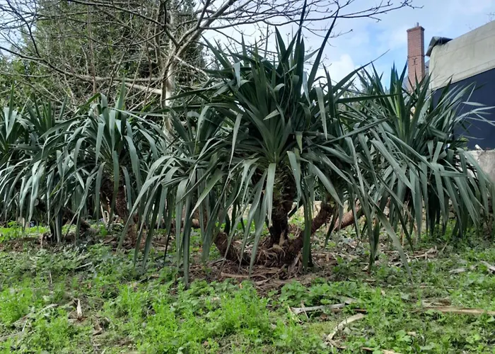 Διαμέρισμα Des Arts - Bande Dessinee Dans Le Perche Rémalard