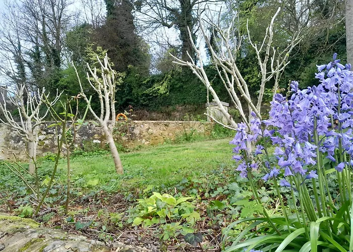 Διαμέρισμα Des Arts - Bande Dessinee Dans Le Perche Rémalard