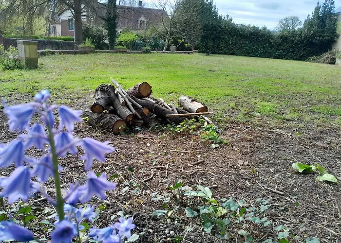 Des Arts - Bande Dessinee Dans Le Perche Διαμέρισμα