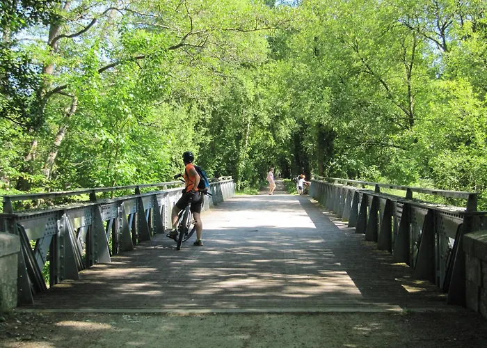 Des Arts - Bande Dessinee Dans Le Perche